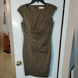 NWT Women's Calvin Klein Sheath Career Dress Cap Sleeve Brown Mid Length Sz 4